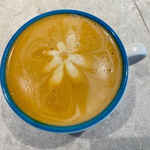 Meet your Posher, Sammy